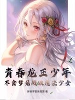 青春龙王少年不会梦见战败魔法少女